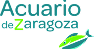 Nuestros alumnos ya trabajan en: