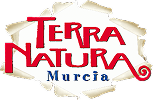 Nuestros alumnos ya trabajan en: